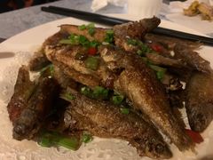 -大新明仕山庄