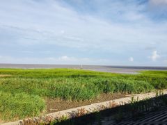景点-南汇嘴观海公园