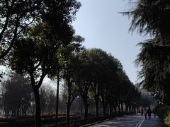 -牛首山文化旅游区