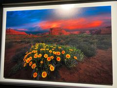 -罗红摄影艺术馆