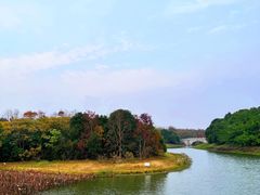 -上海海湾国家森林公园