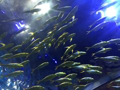 -华夏文旅海洋公园