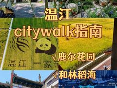 -老鼎万春卤菜(五代传承创始老店)