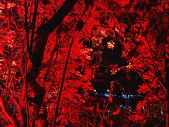 -苏州河梦清园环保主题公园