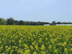 -歌斐颂巧克力小镇