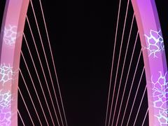 -南京眼步行桥