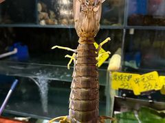 -辉记炭烧海鲜大排档·老字号(福田店)