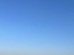 -蔡家酒楼(一德街店)