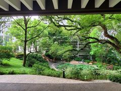-香港大学
