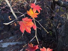 -丹东凤凰山景区
