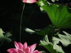-颐和园