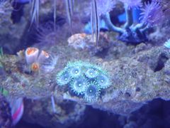 -成都浩海立方海洋公园