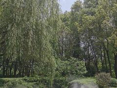 -苏州河梦清园环保主题公园