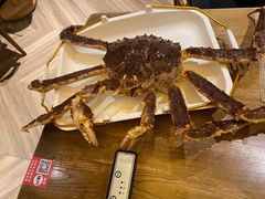 -蟹将军·松叶蟹和牛日料放题自助(K11店)
