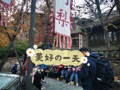 -古北烤梨