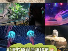 -太平洋海底世界