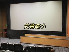 -华谊兄弟影院(IMAX洋桥店)