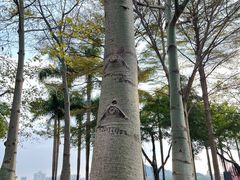-顺峰山公园