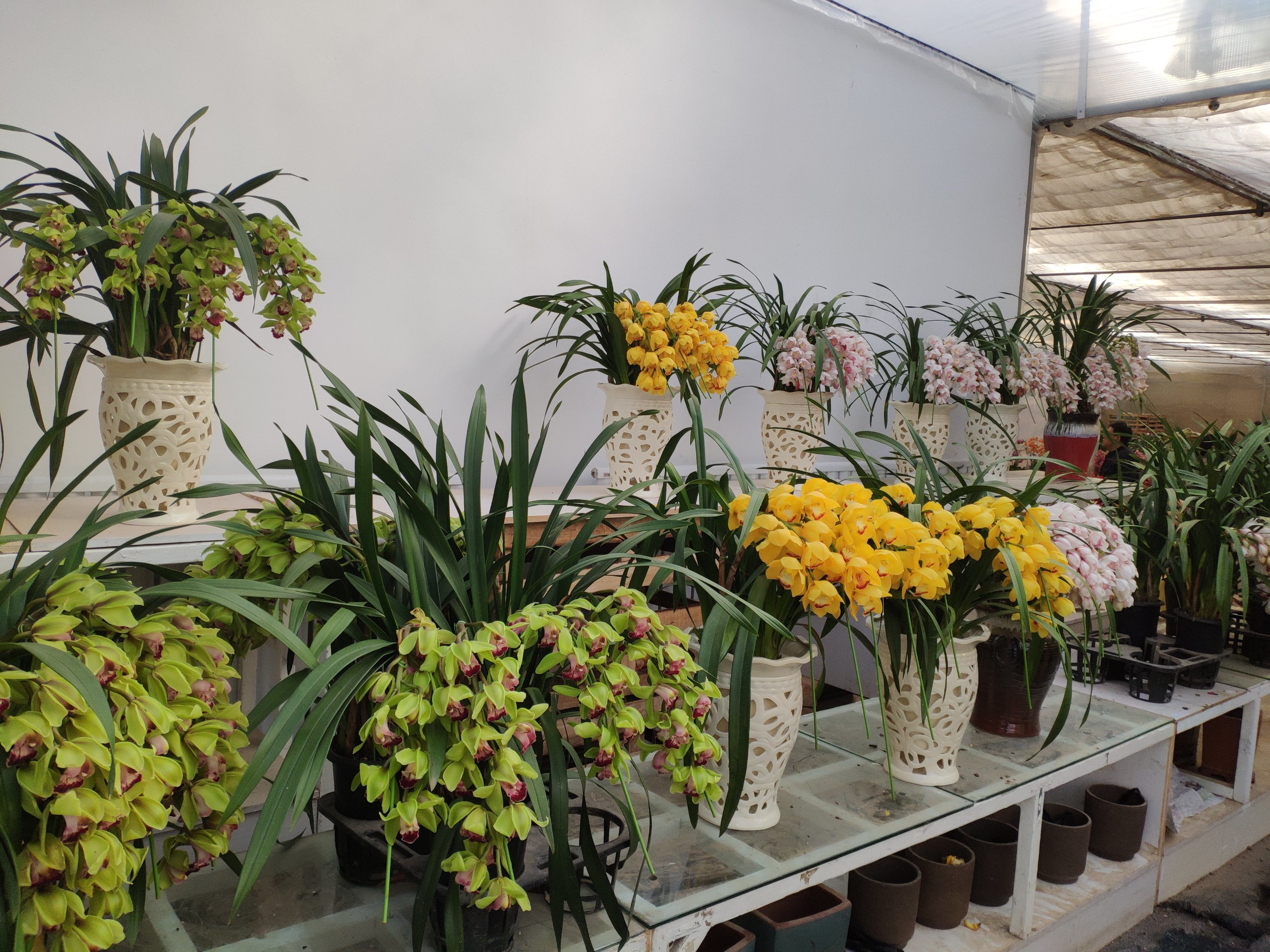 雁锦花卉市场拆了以后