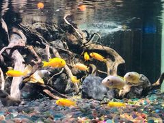 -海合安武汉极地海洋公园