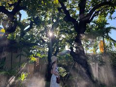 -Chom Cafe and Restaurant