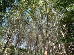 -长春公园(普阳街道)