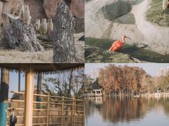 -武汉动物园