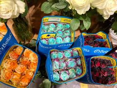 -双季花艺园艺市场(浦东店)