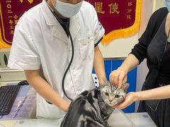 -宠福鑫动物医院(立水桥分院)
