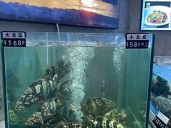 -宴小馆·小海鲜青岛菜(五四广场店)