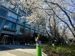 -苏州香格里拉大酒店