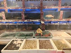 -长平肥姐白粥·海鲜打冷