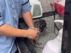 -宠物家(长阳店)