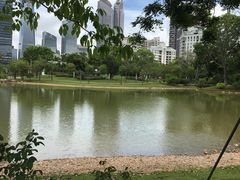-香蜜公园