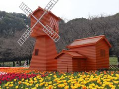 -苏州上方山国家森林公园