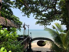 -卷心菜和避孕套餐厅(Pattaya)