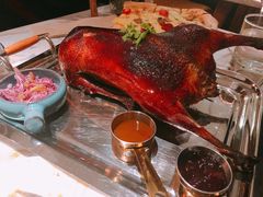 -the rug 飞毯 (朝阳公园店)