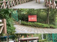 -江南天池