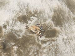 -嵊泗基湖沙滩