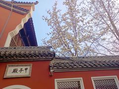 -长春观
