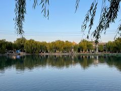 -百花洲