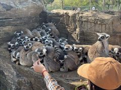 -秦皇岛野生动物园
