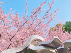 -静安雕塑公园