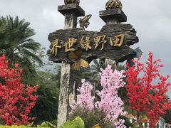 -田野绿世界