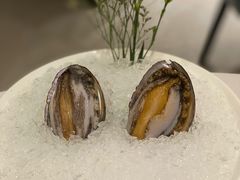 六头鲍鱼-红雀围·海鲜火锅(陆家嘴中心店)