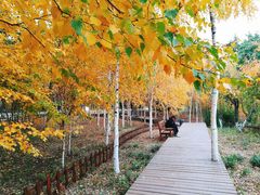 -长春世界雕塑园冰雪艺术天地