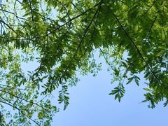 -洋湖国家湿地公园