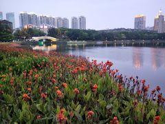 -南宁南湖公园