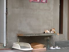 -Again Coffee Roaster(香蜜湖店)