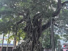 -闽粤南澳总镇府